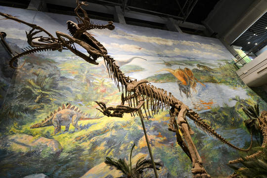 自贡恐龙化石