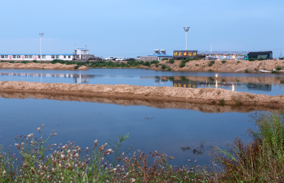 东戴河风景区