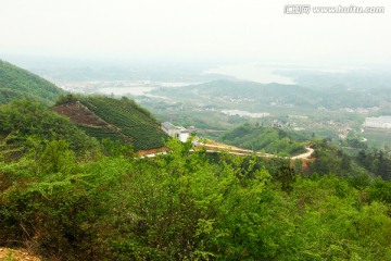 茶山