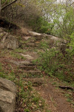 山中石阶