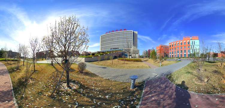 北京城市学院顺义玉兰花全景