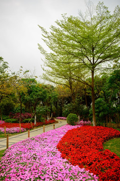树林花园小路
