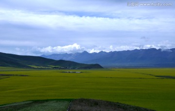 田园风光