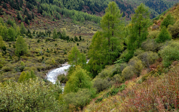 山间小溪