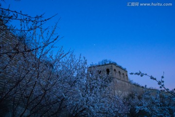 春天 杏花 长城 星空