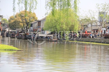 柳叶 古镇摄影 西塘古镇