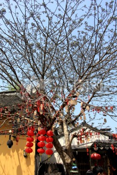 许愿树