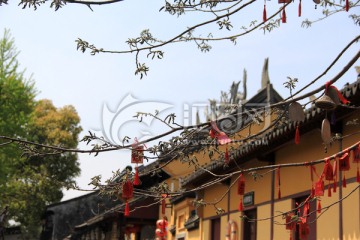 许愿树