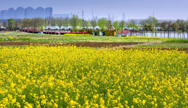 农家乐 田园田园 高清晰