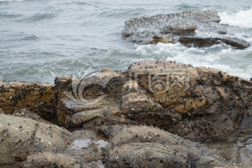 海边岩石