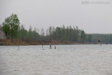 运河水