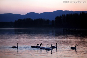 天鹅湖