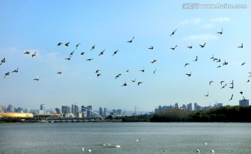 城市风光