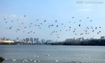 城市风光