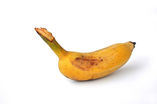 一根米蕉