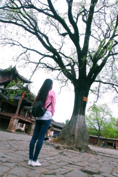 少女与古树