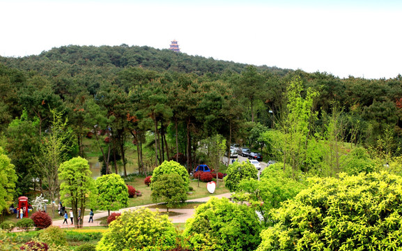 重庆江北区铁山坪