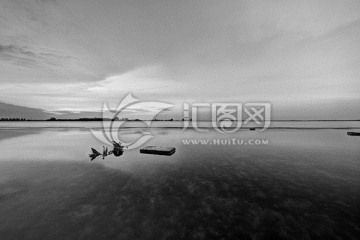 上海 滴水湖黑白摄影