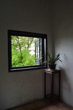 盆景架