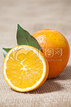 优质柑橘