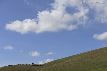 高山牧场