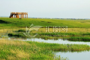 草原湿地观鸟台
