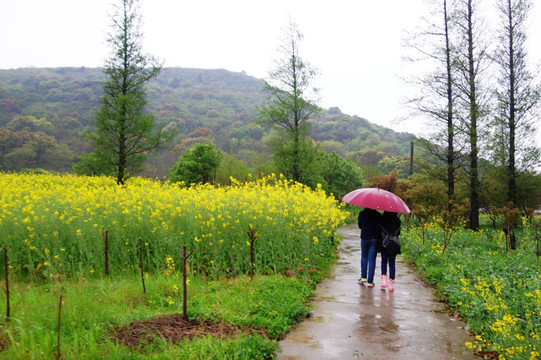 春雨里散步的两个小女孩