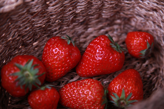 草莓素材
