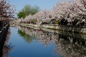 北京海棠花溪