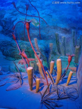 远古海洋生物复原模型