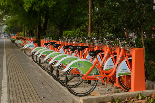 公共自行车 深圳 南山区