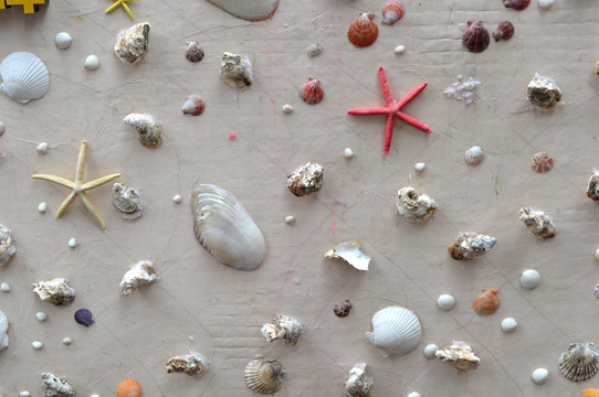 贝壳艺术 背景墙