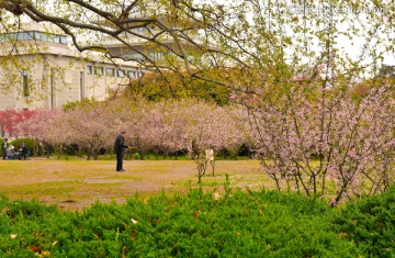 雨花台公园