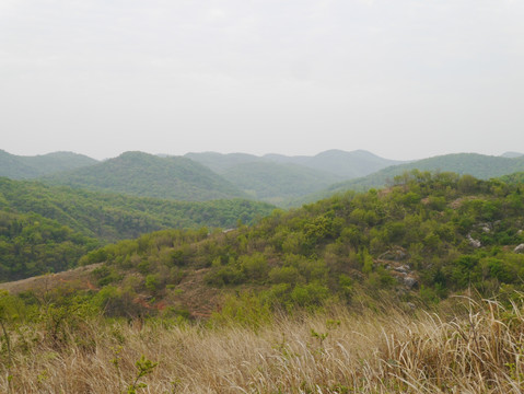 大山