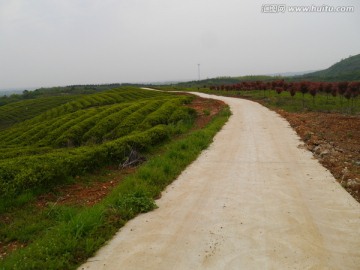 山顶公路