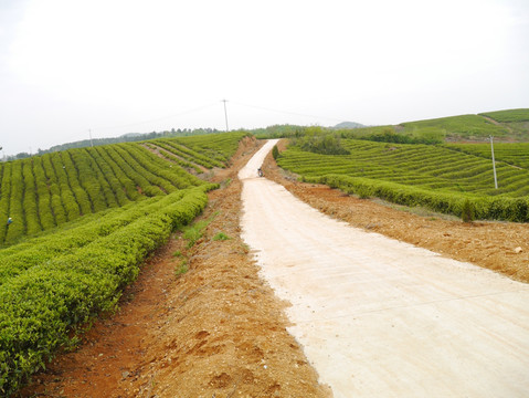 山区公路