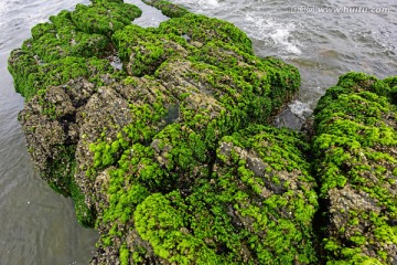 礁石