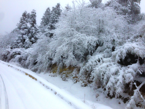 雪域公路