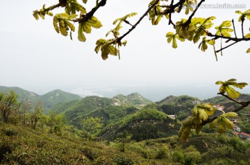 大山