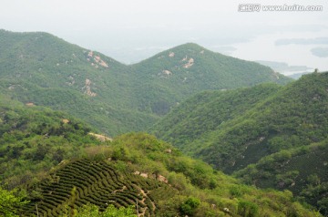 茶山