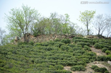石墙
