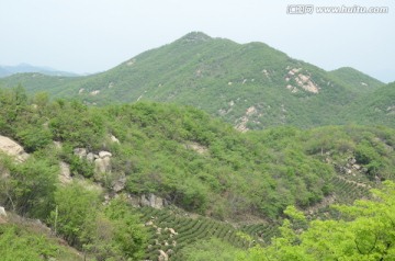 茶山