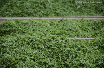 茶叶