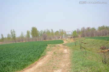 春天的田野