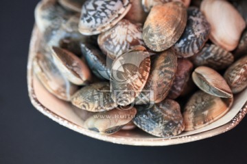 蛤蜊 贝类 花蛤