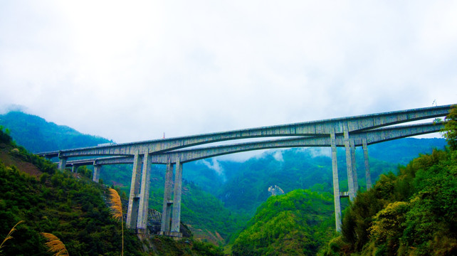 特大桥 三岔沟特大桥