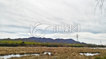 山