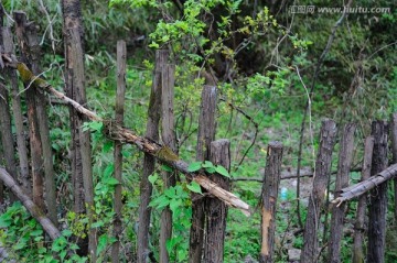 山林里陈旧的木栅栏