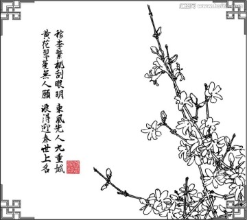 迎春花