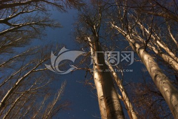 宁静夜晚